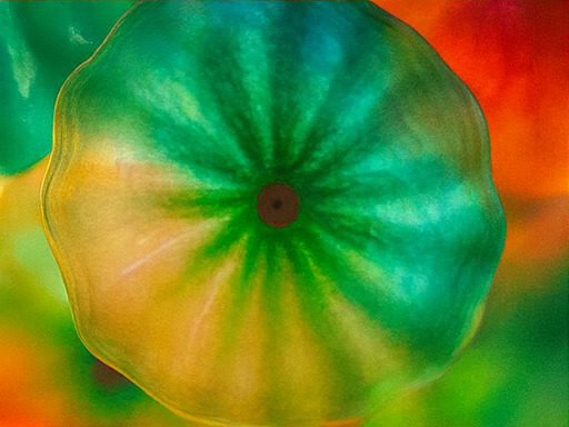 베타 존 스테이지