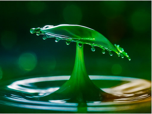 창의력 넘치는 탐험 세계